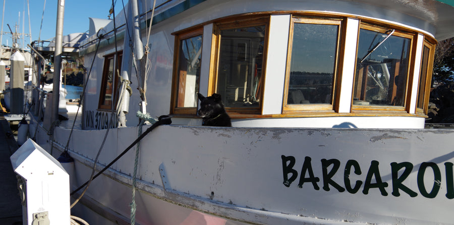 Fisherman Spotlight: Jeremy Brown | Alaska Gold Seafood