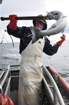Why Alaska Gold Seafood Delivery | Alaska Gold Seafood
