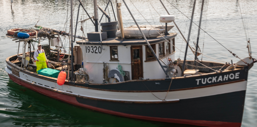 What it’s like delivering line-caught wild Alaskan salmon | Alaska Gold Seafood