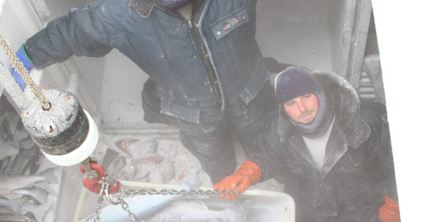 Flash Frozen Wild Seafood | Alaska Gold Seafood