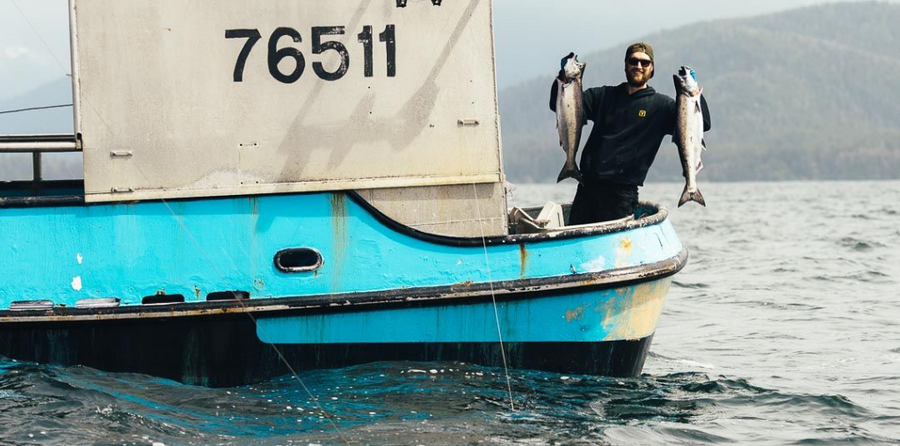 A Better Way to Buy Fish | Alaska Gold Seafood