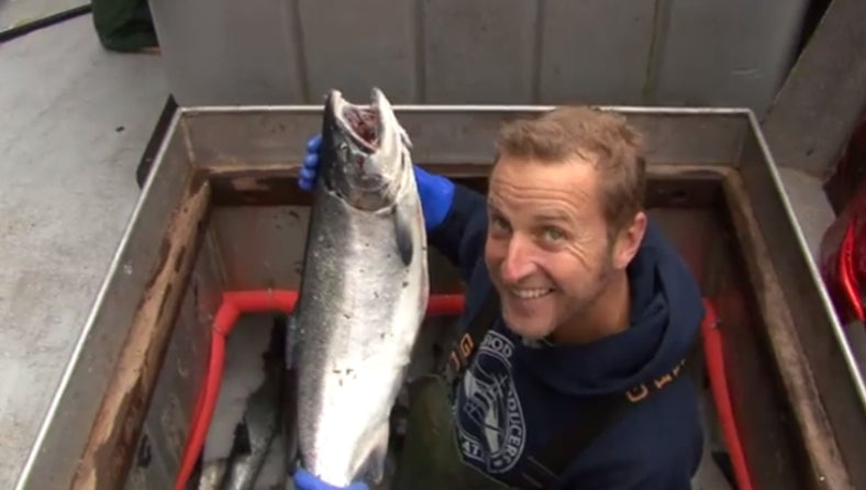 Buy Alaska Seafood from the Producers | Alaska Gold Seafood
