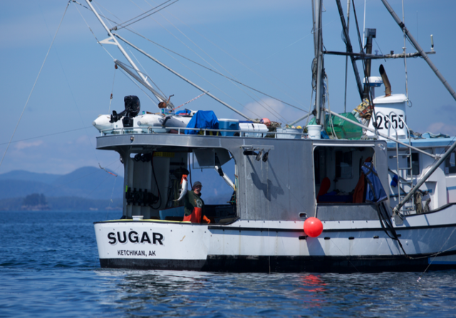 Why Wild? Why Alaska Gold Seafood