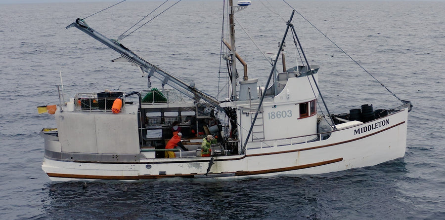 What it’s like on an Alaskan Black Cod Boat