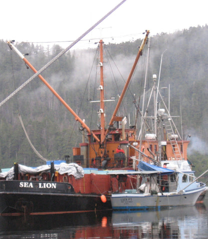 Buying Wild Salmon on the Sea Lion, Part 1: A Focus on Service  | Alaska Gold Seafood