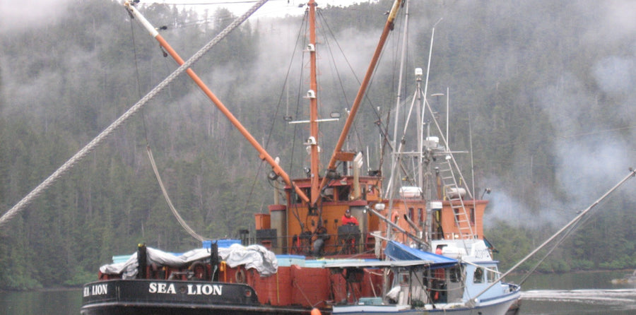 Buying Wild Salmon on the Sea Lion, Part 1: A Focus on Service | Alaska Gold Seafood