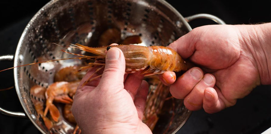 Homemade shrimp stock recipe | Alaska Gold Seafood