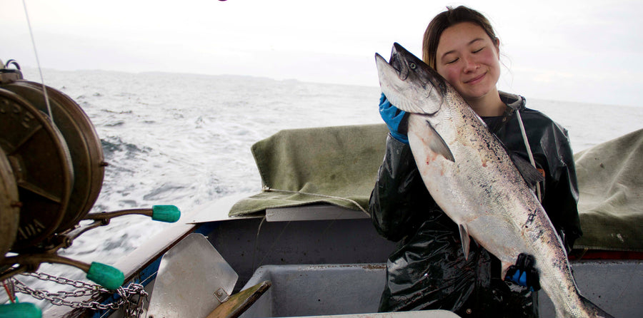 Sitka Salmon Love | Alaska Gold Seafood