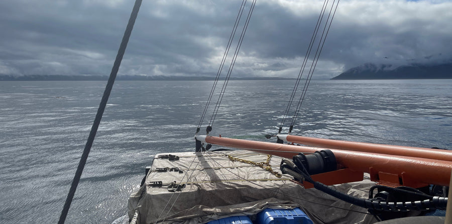 Buying Alaskan Salmon on the Sea Lion, Part 2: Building Community in the Alaskan Salmon Trolling Fleet