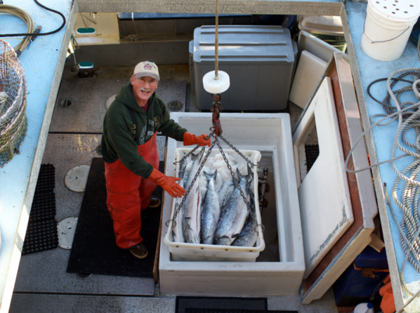 How Seafood Producers Cooperative Helps Ensure Food Security for Americans | Alaska Gold Seafood