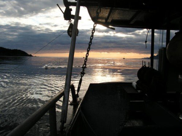“Wild Salmon. Nature’s True Reward.” | Alaska Gold Seafood