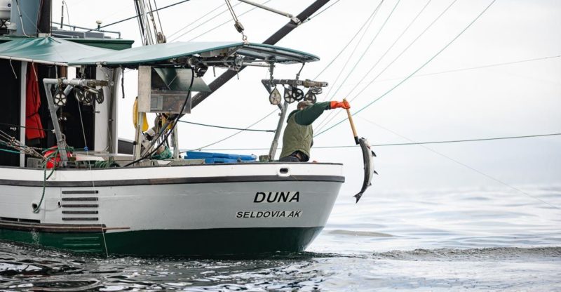 Line-Caught Seafood: The Pinnacle of Quality | Alaska Gold Seafood