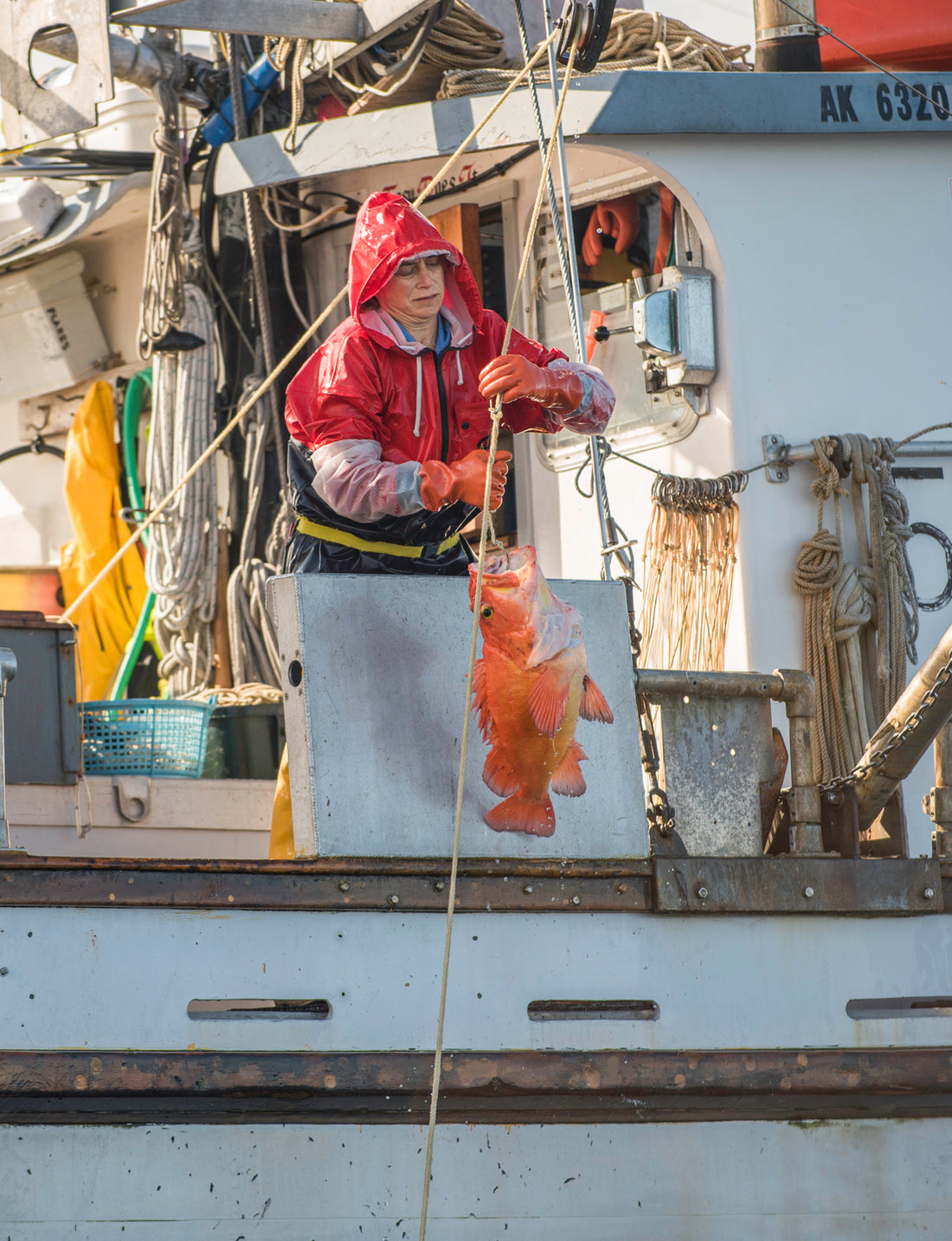 NEW! Yelloweye Rockfish Portions | Alaska Gold Seafood