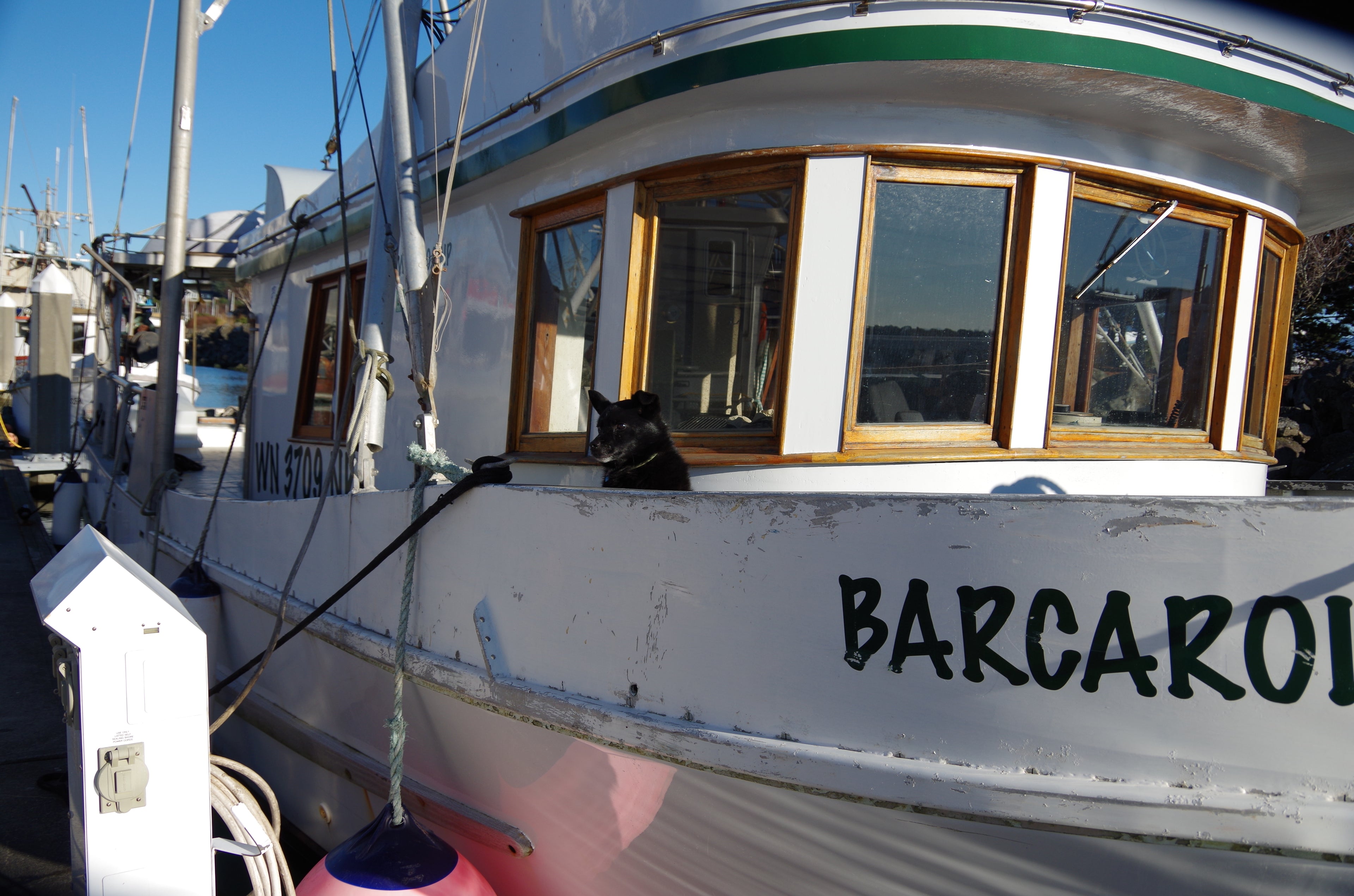 Fisherman Spotlight: Jeremy Brown | Alaska Gold Seafood