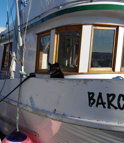 Extraordinary Life on a Southeast Alaska Fishing Boat