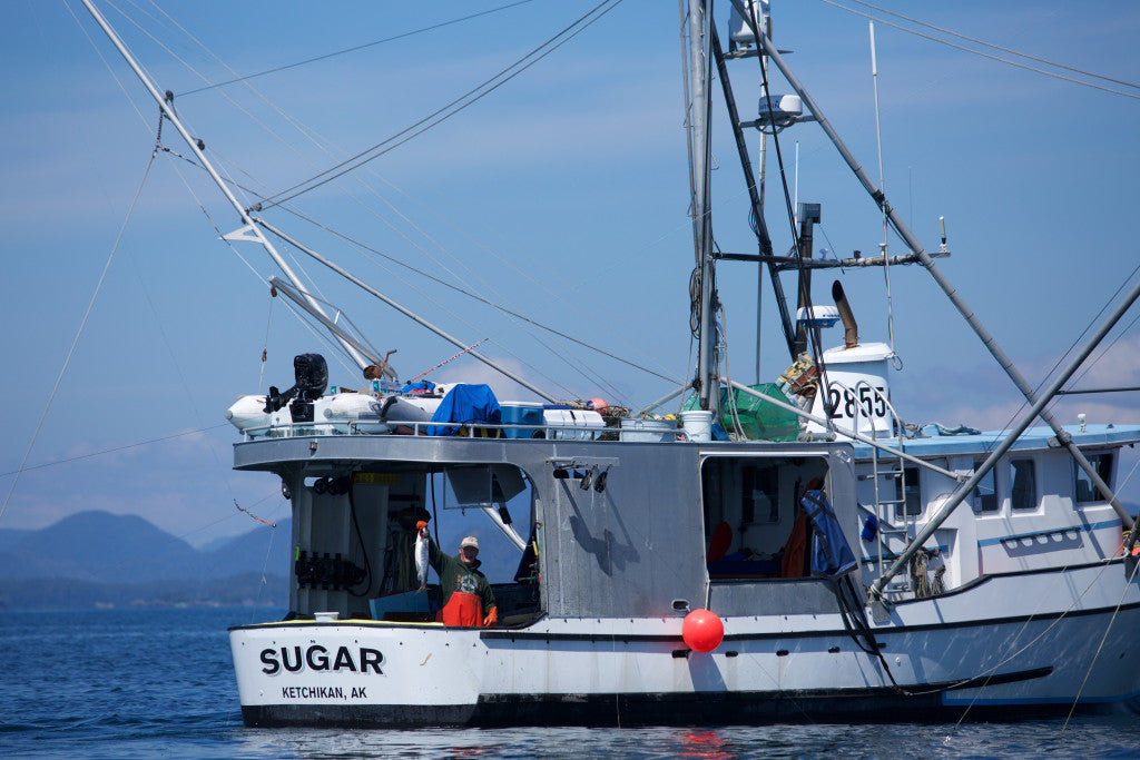 The Skin-Saving Power of Omega-3s in Wild Salmon | Alaska Gold Seafood