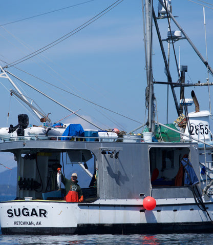 The Skin-Saving Power of Omega-3s in Wild Salmon | Alaska Gold Seafood