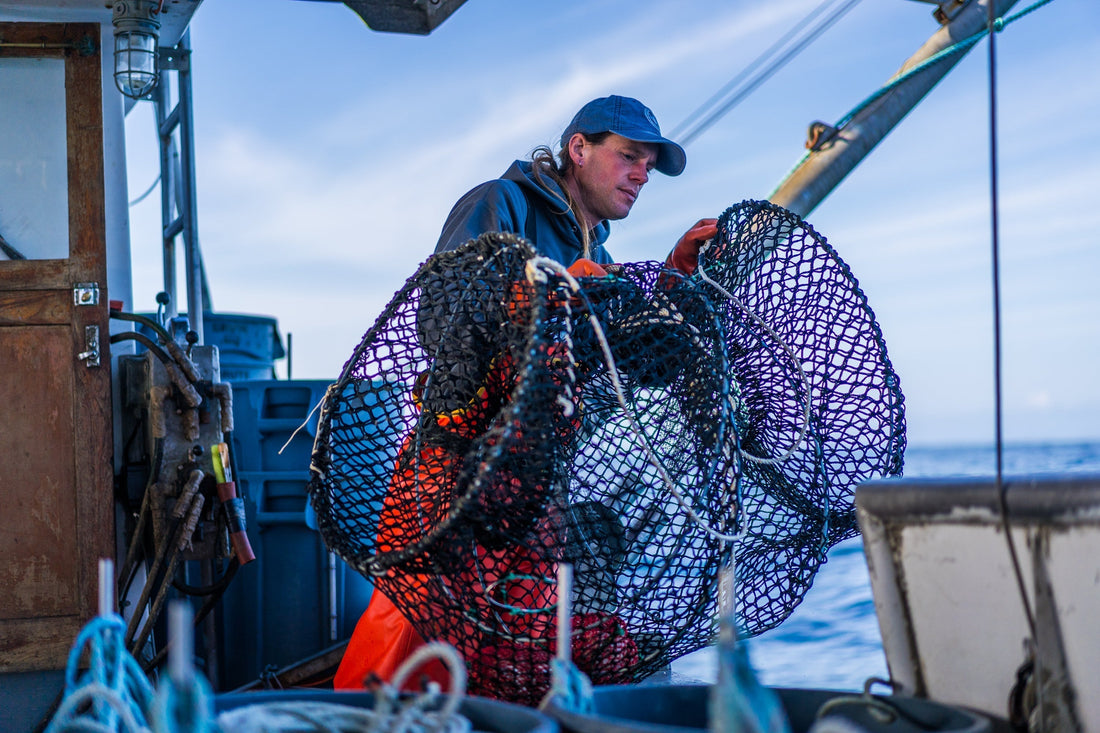 Small boat fisherman using a slinky pot