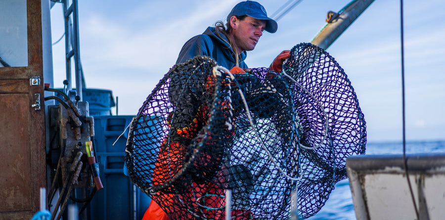 Small boat fisherman using a slinky pot