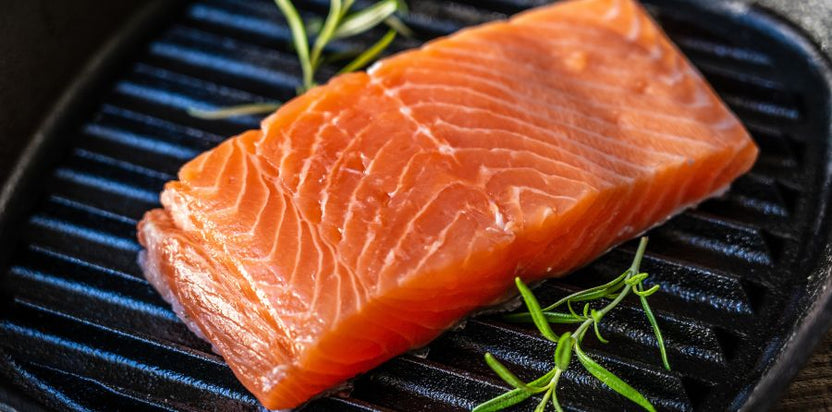 4 Reasons Why Frozen Fish Is Often Better Than Fresh Fish – Alaska Gold ...