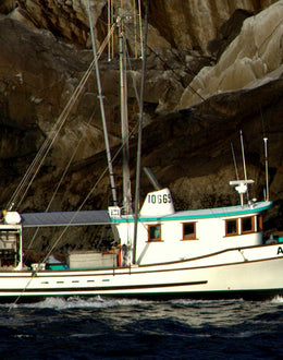 Salmon Trolling with the Moores | Alaska Gold Seafood