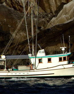 Salmon Trolling with the Moores | Alaska Gold Seafood