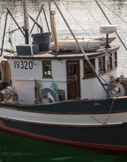 What it’s like delivering line-caught wild Alaskan salmon | Alaska Gold Seafood
