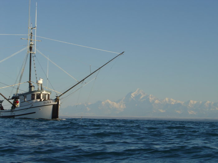 Amy Grondin Produces and Advocates for Sustainable Seafood