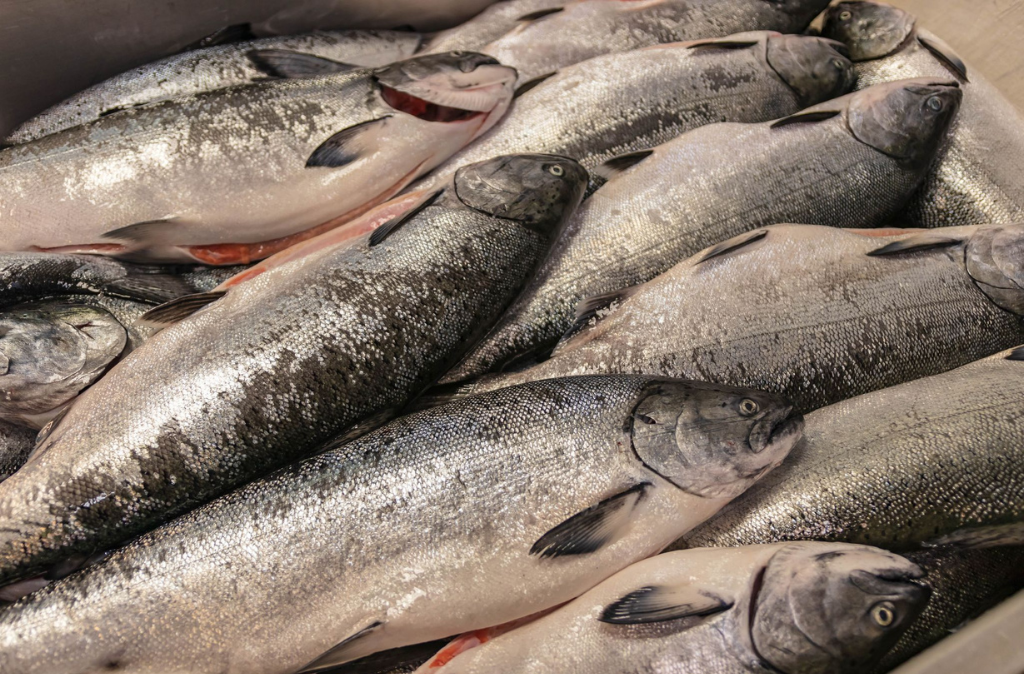 Why Athletes Eat Seafood | Alaska Gold Seafood