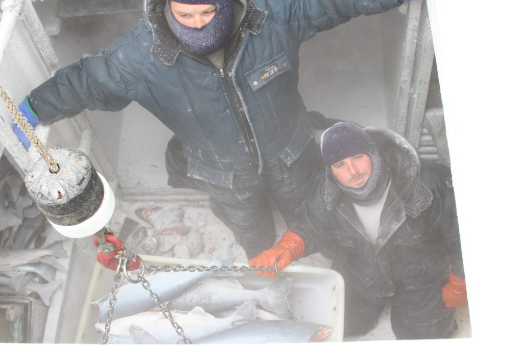 Flash Frozen Wild Seafood | Alaska Gold Seafood