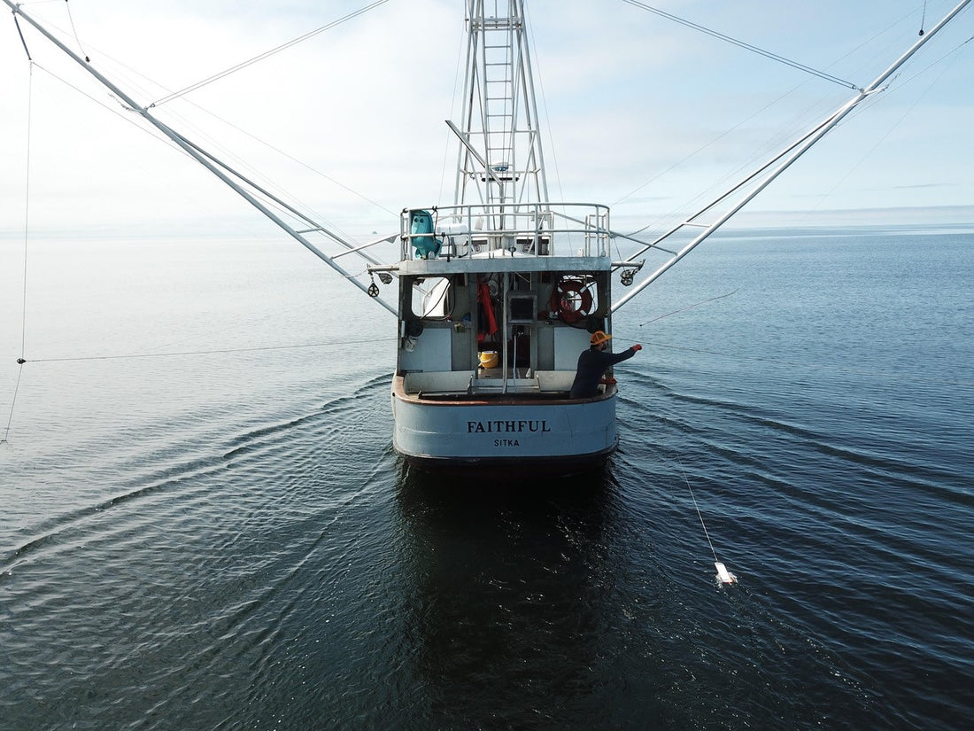 Producing the finest line-caught wild coho salmon | Alaska Gold Seafood