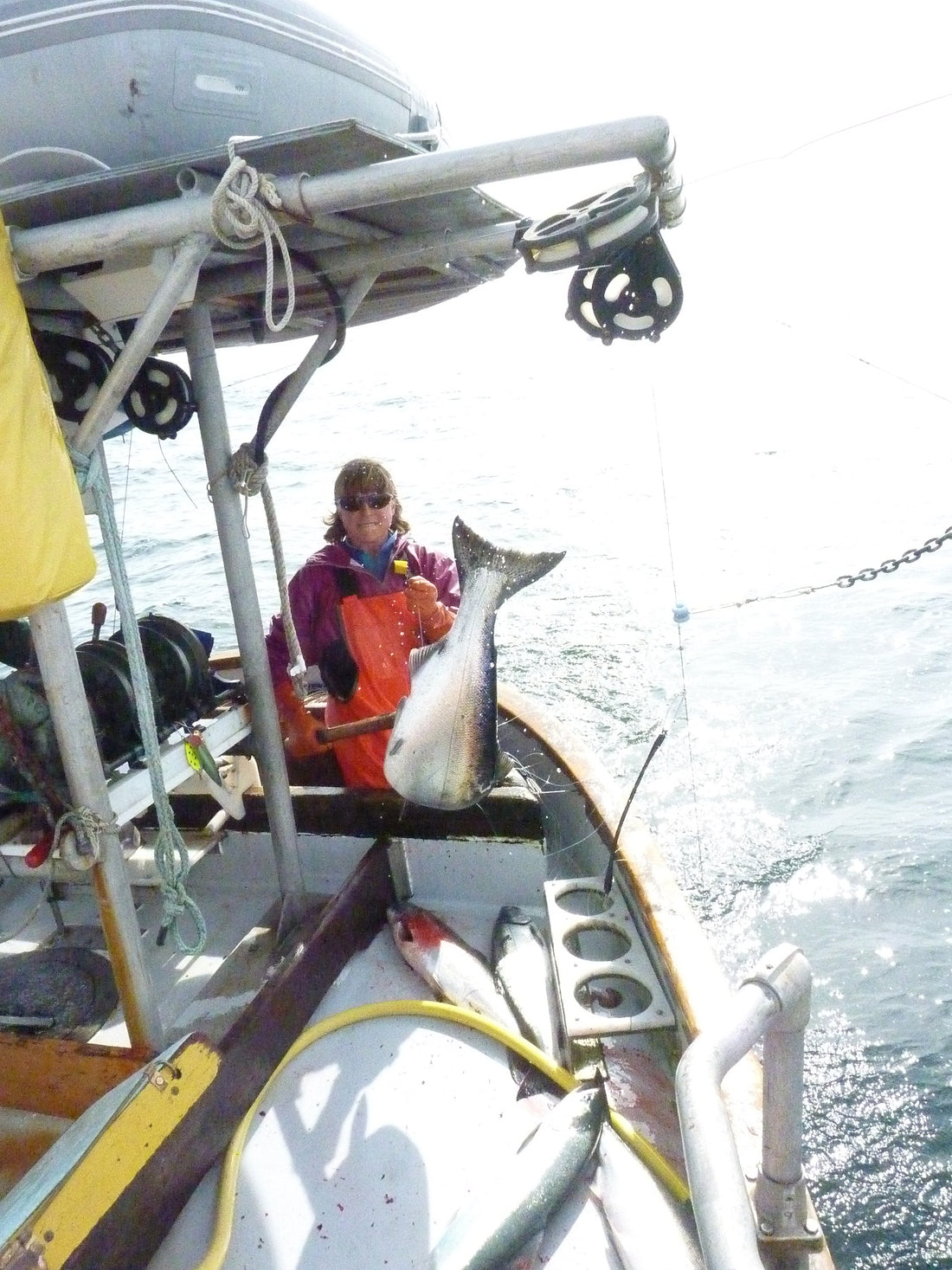 A Commitment to Sustainable Seafood | Alaska Gold Seafood