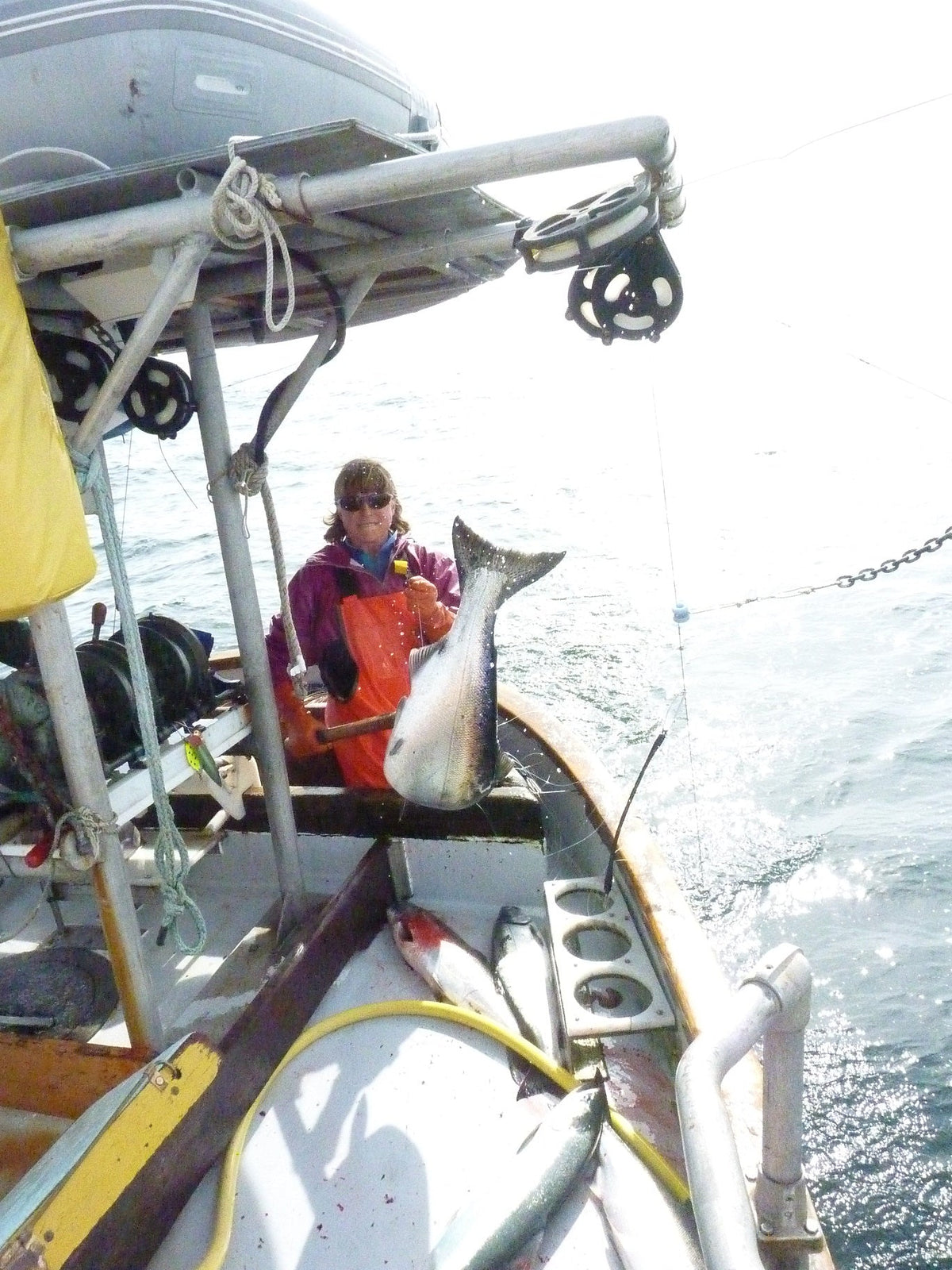 A Commitment to Sustainable Seafood | Alaska Gold Seafood