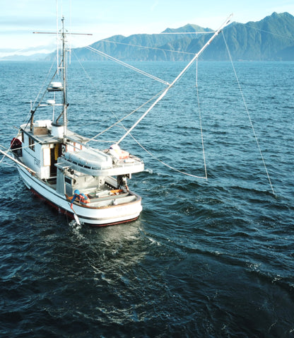 Stewards of the Resource | Alaska Gold Seafood
