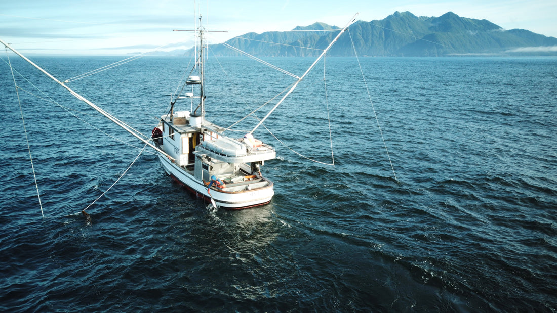 Stewards of the Resource | Alaska Gold Seafood