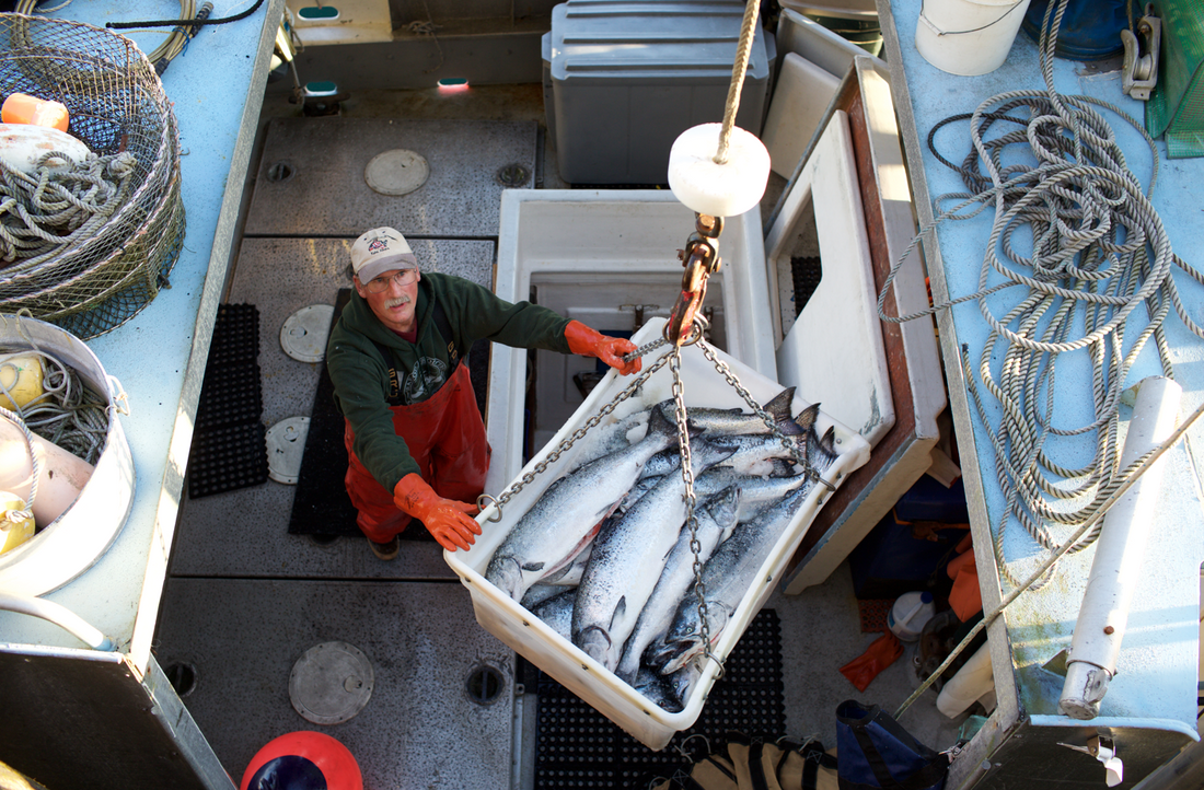 A heritage of small boat fishermen coming together to produce the best seafood | Alaska Gold Seafood