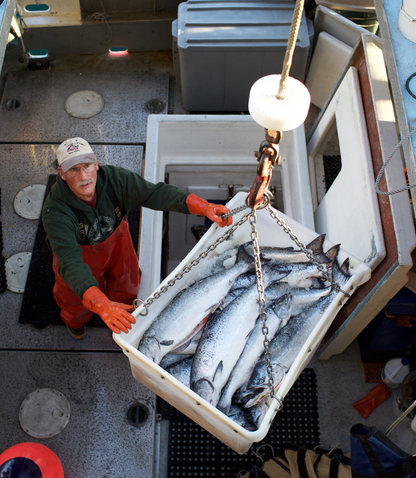 A heritage of small boat fishermen coming together to produce the best seafood | Alaska Gold Seafood