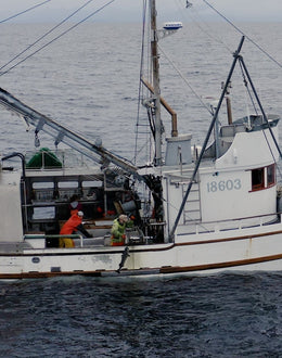 What it’s like on an Alaskan Black Cod Boat | Alaska Gold Seafood