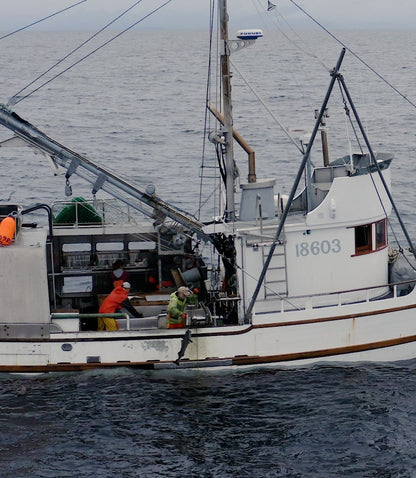 What it’s like on an Alaskan Black Cod Boat