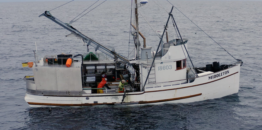 What it's like on an Alaskan Black Cod Boat