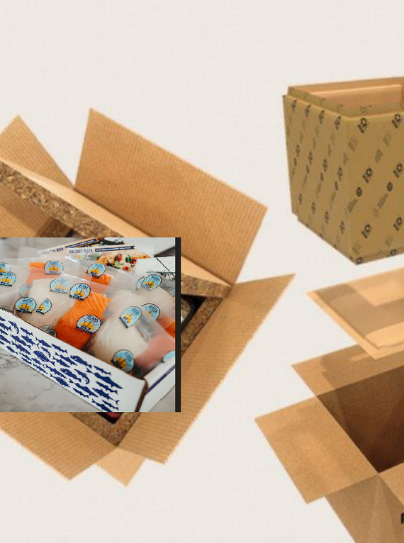Box and insulator made out of recycled cardboard for shipping frozen seafood