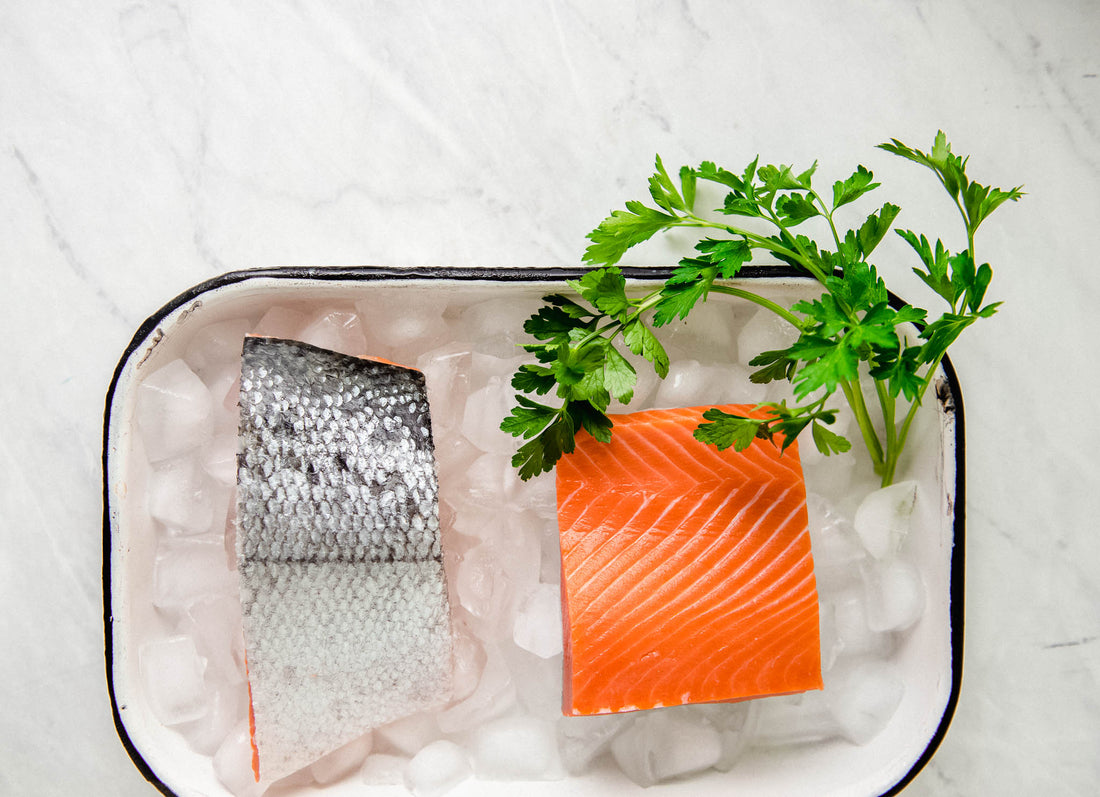 Two Salmon Fillets. One is skin-side up and the other is skin-side down.