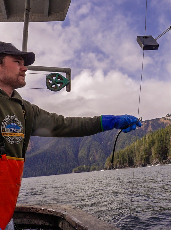 a fisherman working the lines