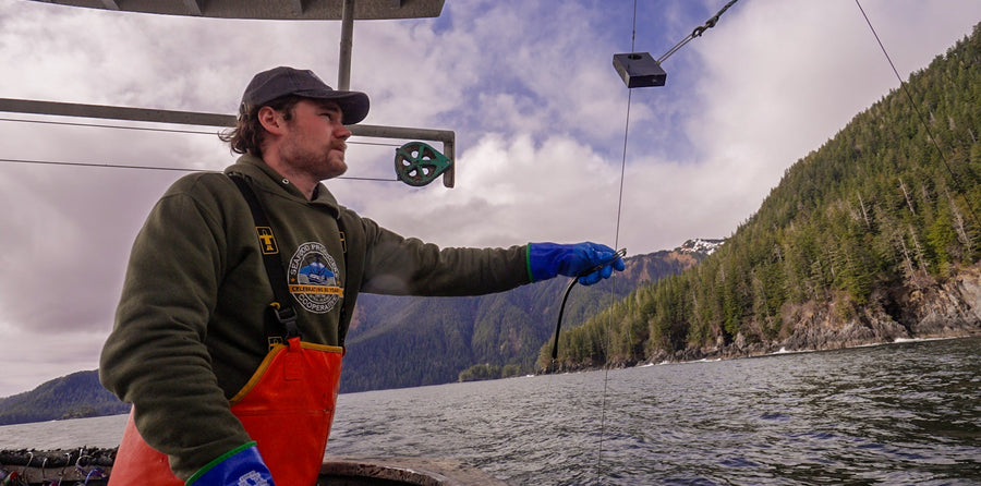a fisherman working the lines