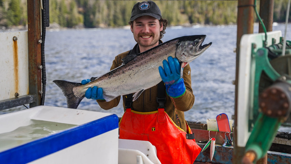 What it's like catching hook and line-caught wild salmon | Alaska Gold Seafood