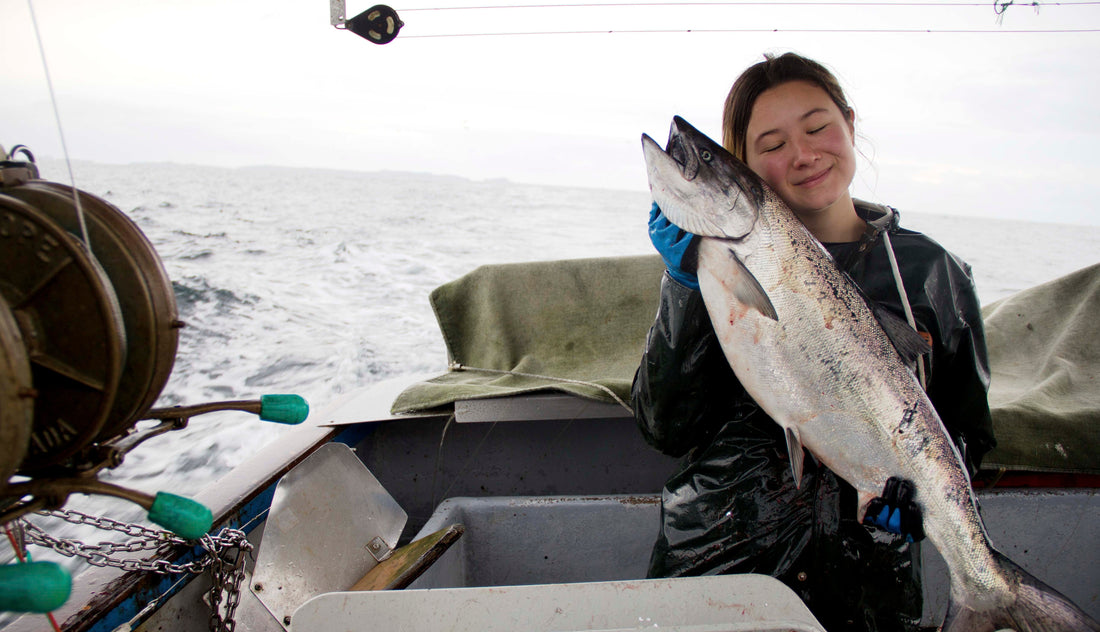 Sitka Salmon Love | Alaska Gold Seafood