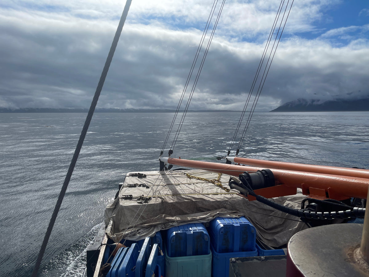 Buying Alaskan Salmon on the Sea Lion, Part 2: Building Community in the Alaskan Salmon Trolling Fleet