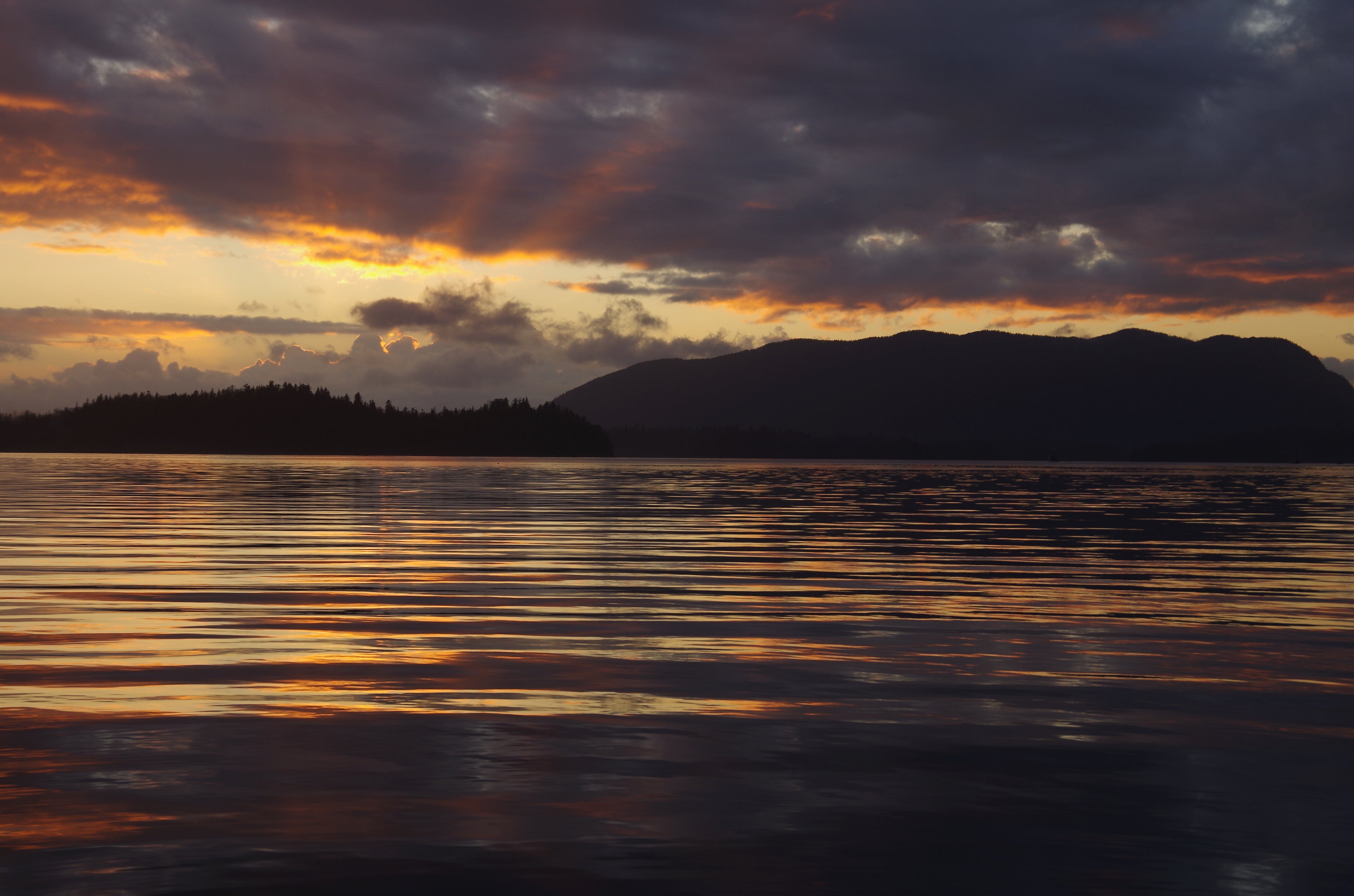 All About Wild Pacific Salmon
