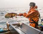 NEW: Wild Alaska Pacific Cod | Alaska Gold Seafood