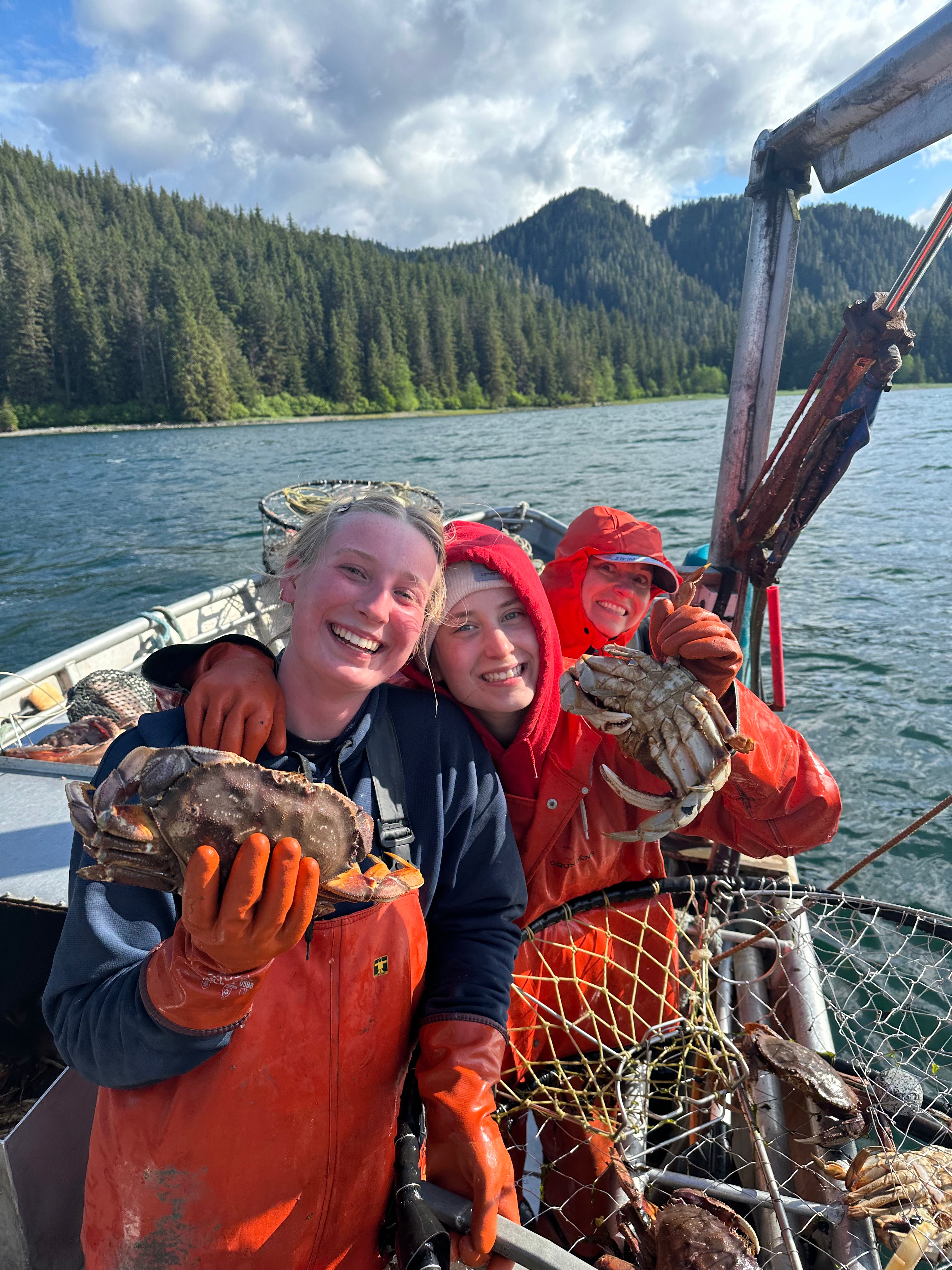 Dungeness Crab | Alaska Gold Seafood